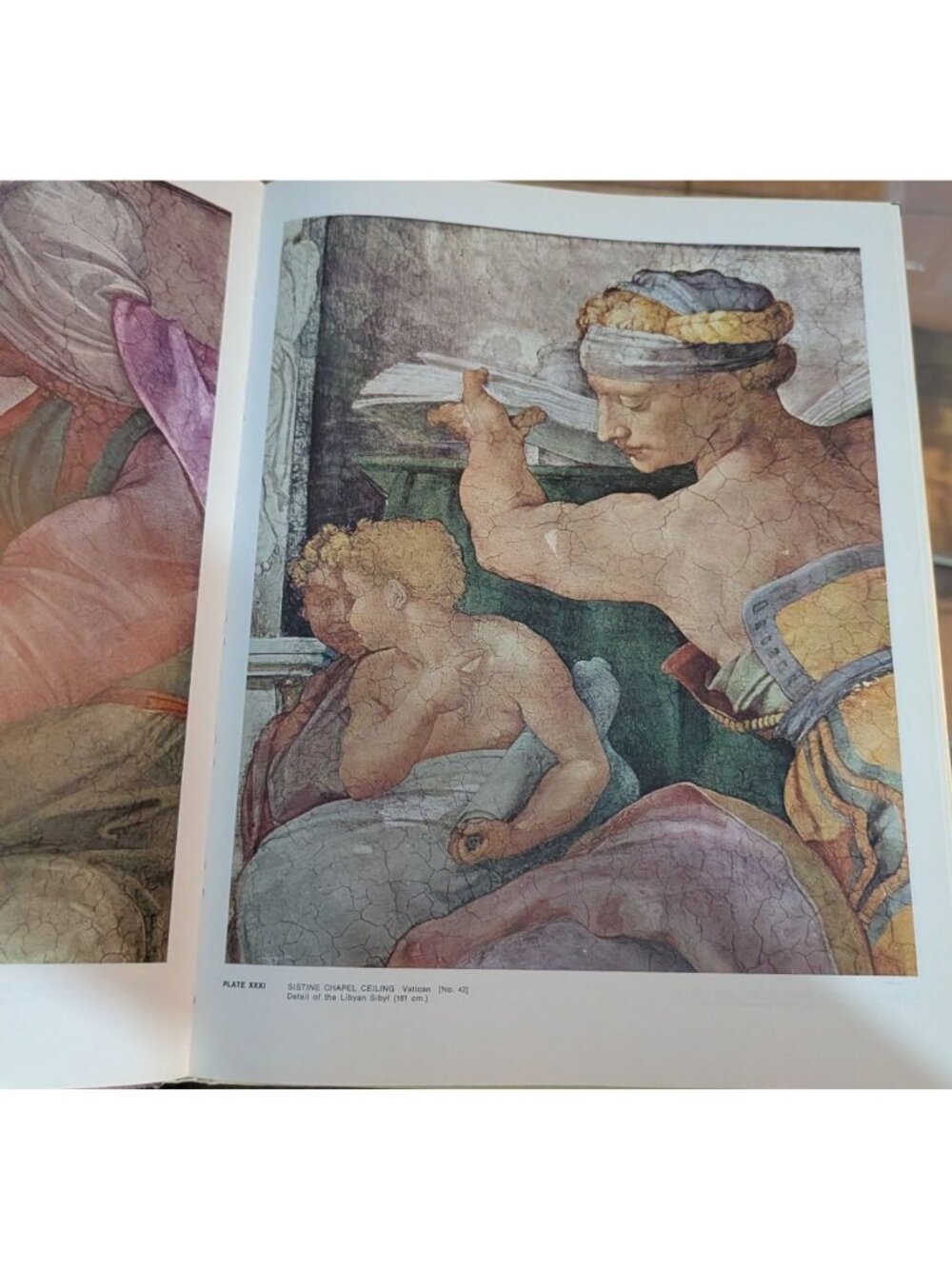 The Complete Paintings Of Michelangelo Hardcover Art Book Classics Of The Worlds - Picture 5 of 14